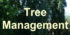 See how the trees are to be managed in the future