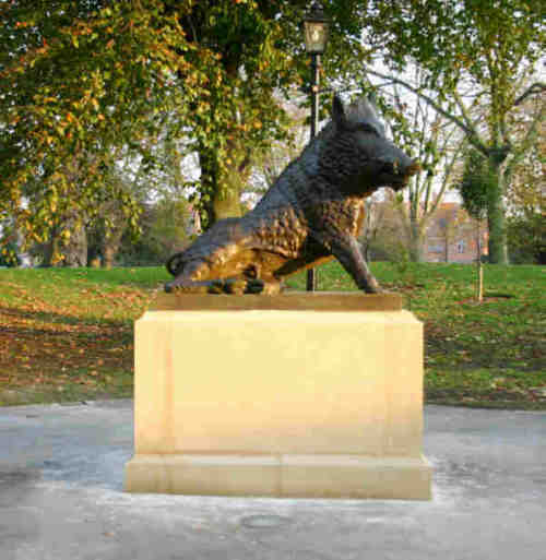 The new boar in position