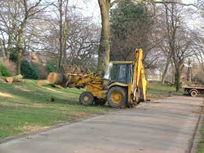 A JCB removes the cut trunk sections