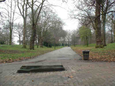 Looking north before and after the tree felling